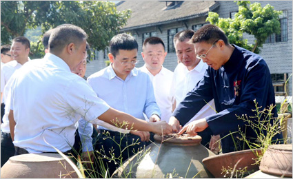 遵义市委书记、市长魏树旺一行莅赤调研赤水曾氏晒醋