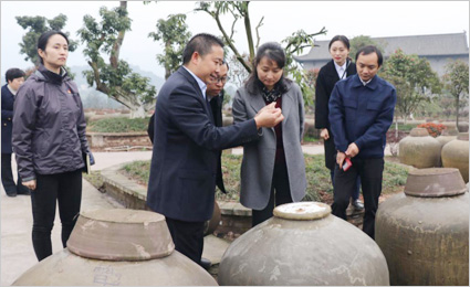 贵州省团省委书记涂妍一行莅临曾氏晒醋实地调研